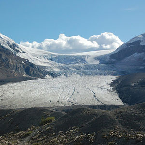 Meet your Posher, KC's Gently Loved Treasures